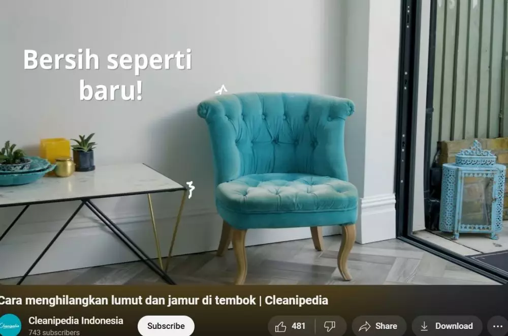 Cara membersihkan lumut dan jamur di tembok © YouTube