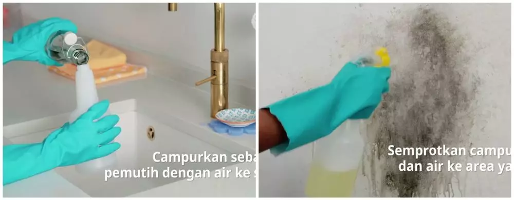 Cara membersihkan lumut dan jamur di tembok © YouTube