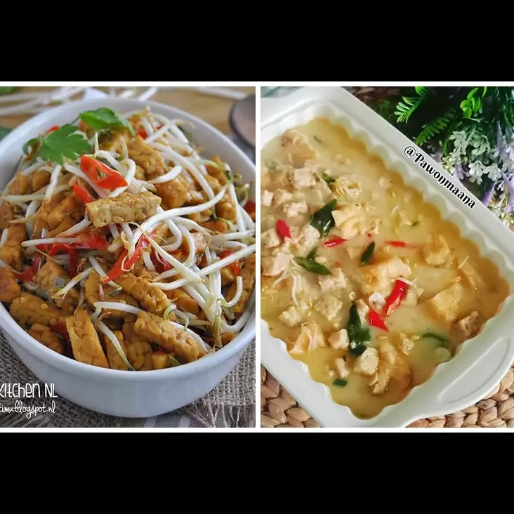 20 Resep masakan tempe campur tauge, enak, bergizi, dan menggugah selera