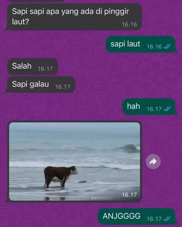 Chat teman bikin geregetan pol Berbagai sumber