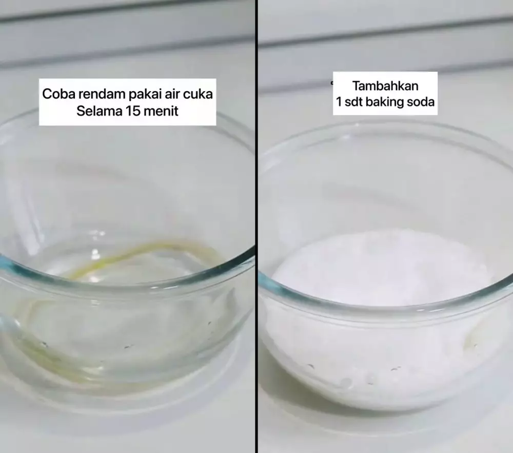 bersihkan karet silikon tutup botol berjamur © 2025 TikTok bersihkan karet silikon tutup botol berjamur © 2025 TikTok