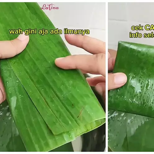 Jadi lebih kokoh, cara melenturkan daun pisang ini bikin antisobek meski tak dibakar atau direbus