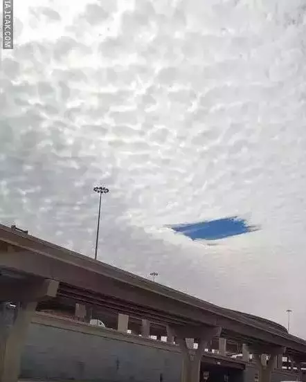 potret kocak penampakan aneh Berbagai sumber