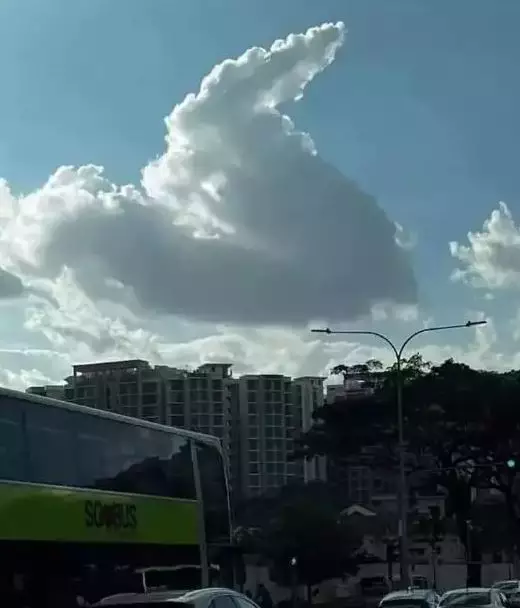 potret kocak penampakan aneh Berbagai sumber