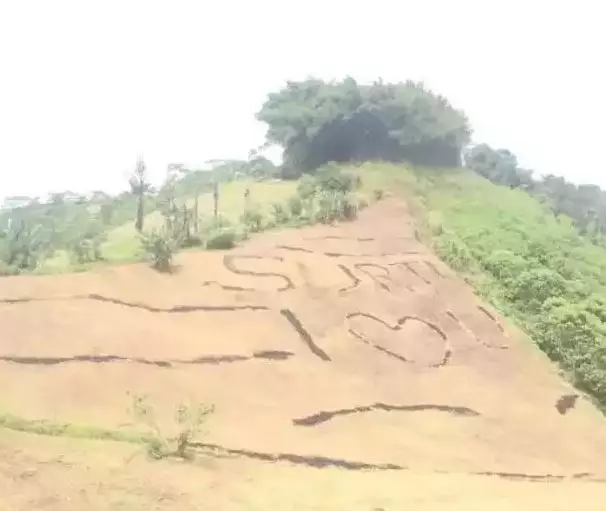 potret kocak penampakan aneh Berbagai sumber