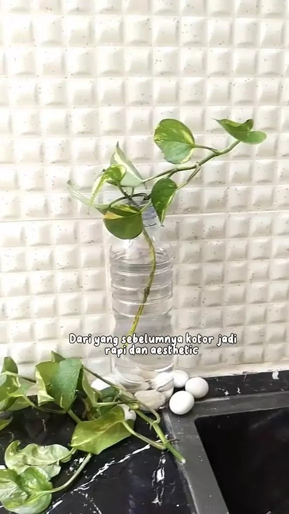 makeover dapur jadi mewah bikin tetangga iri © 2025 TikTok