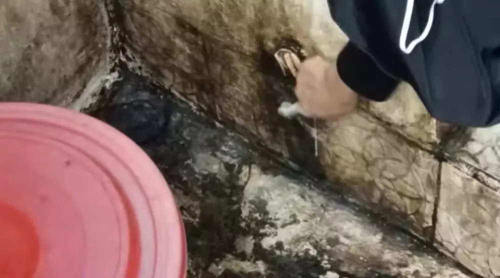 renovasi kamar mandi di kontrakan © YouTube renovasi kamar mandi di kontrakan © YouTube