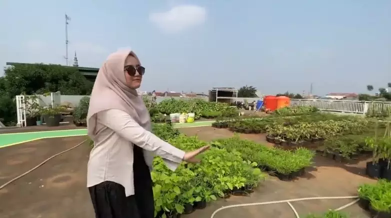 rooftop Yusuf Mansur kebun sayur © YouTube