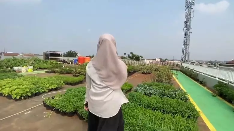 rooftop Yusuf Mansur kebun sayur © YouTube