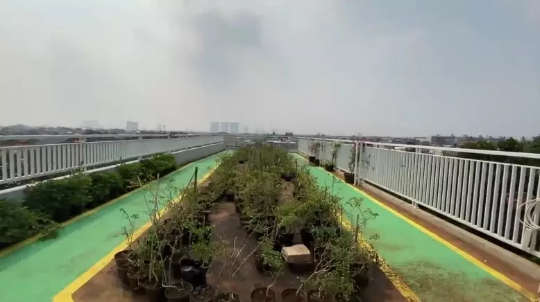 rooftop Yusuf Mansur kebun sayur © YouTube
