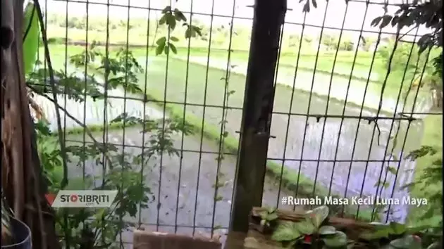 potret dapur ibunda Luna Maya © berbagai sumber