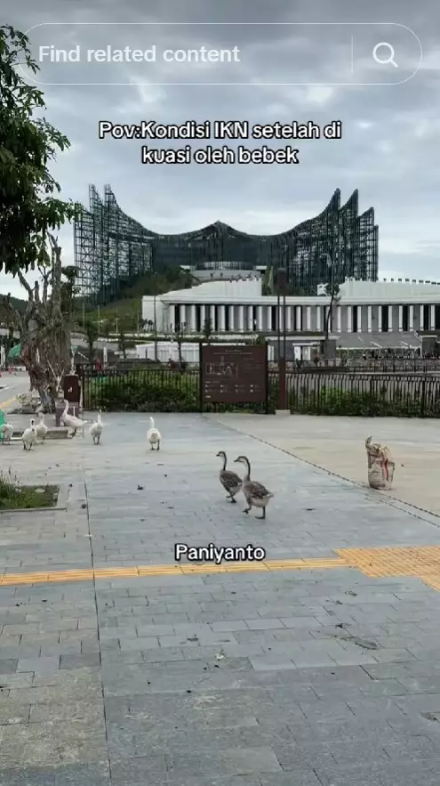 kondisi IKN anggaran diblokir © berbagai sumber kondisi IKN anggaran diblokir © berbagai sumber