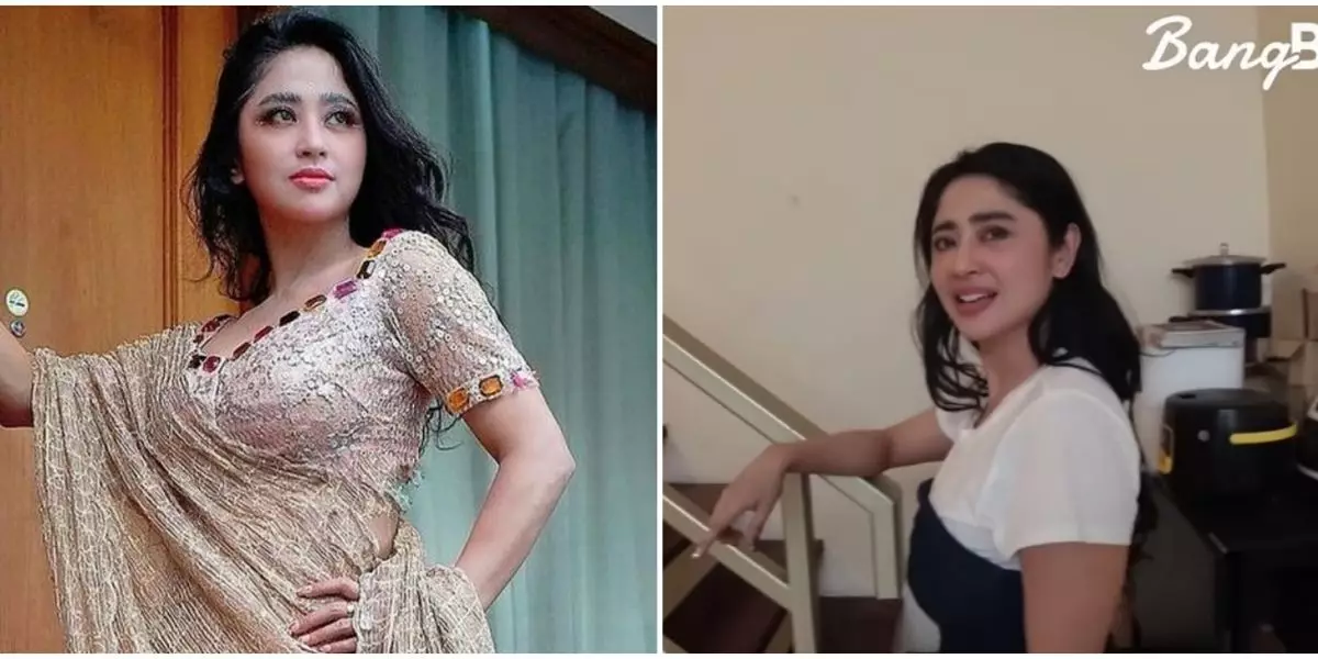 Dewi Perssik punya rumah megah ditaksir Rp 30 M, 9 potret dapur khusus ART-nya segaris tempat jemuran