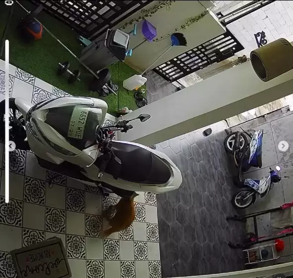 Rumah Arie Rieyanthie © 2024 Instagram Rumah Arie Rieyanthie © 2024 Instagram