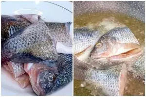Bau amis ikan nila bikin selera makan hilang? Ini cara ampuh mengatasinya pakai bahan dapur