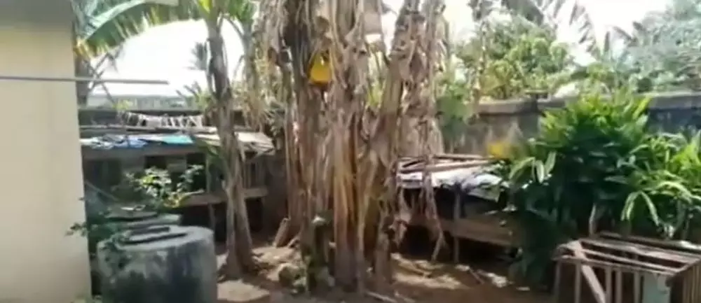 potret rumah Ghea Indrawari di Singkawang © 2024 YouTube