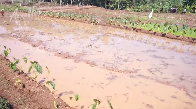 rumah istri narji di kampung halaman © YouTube