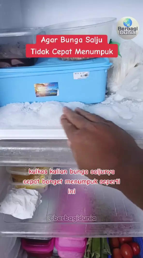cegah bunga es menumpuk di freezer © TikTok cegah bunga es menumpuk di freezer © TikTok