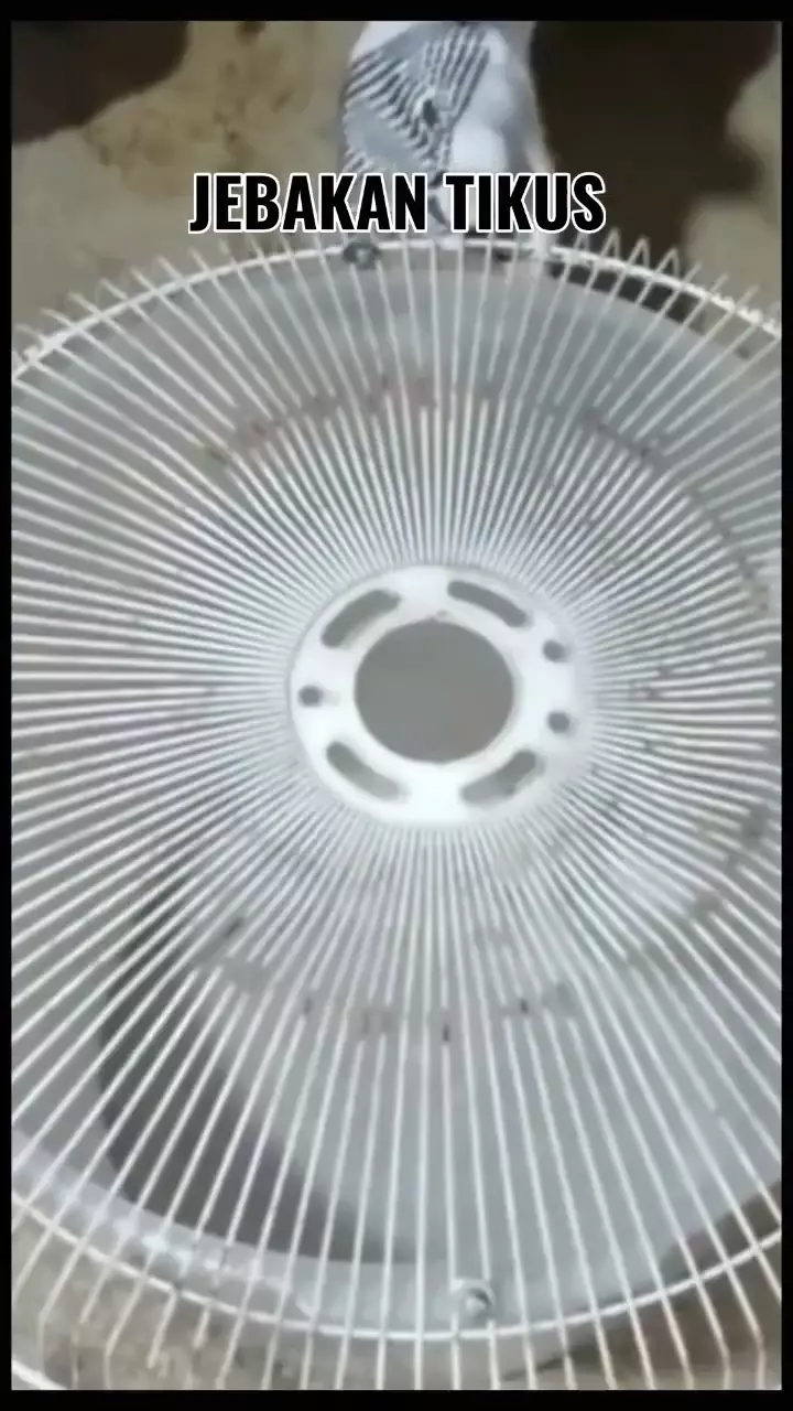 cara bikin jebakan tikus pakai toples © 2023 brilio.net