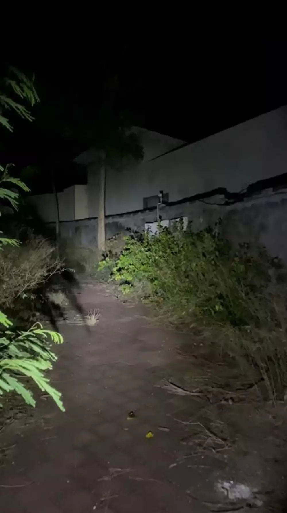 diduga vila milik kiki fatmala © 2024 TikTok