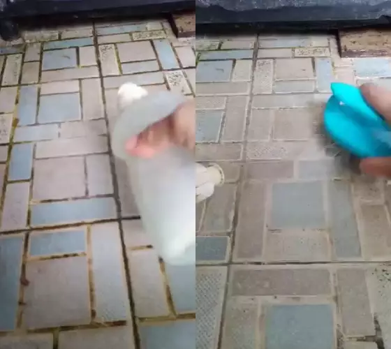 bersihkan lantai kamar mandi lumutan © Facebook bersihkan lantai kamar mandi lumutan © Facebook