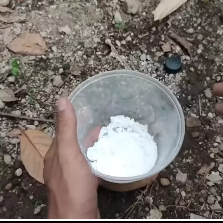 Jangan pakai racun, trik mudah basmi tikus di rumah, pakai tambahan 1 bumbu dapur, bikinnya semenit