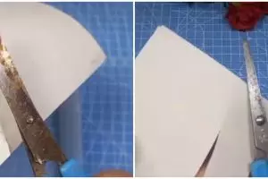 Jangan beli baru, coba trik jitu bersihkan gunting berkarat dan tumpul agar tajam pakai 3 bahan dapur