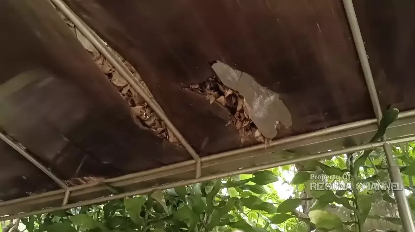 rumah Ariel NOAH komplek elit © YouTube rumah Ariel NOAH komplek elit © YouTube