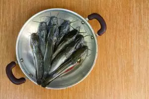 Cara mudah menghilangkan lendir pada ikan lele agar masakan lebih lezat andalkan bahan dapur