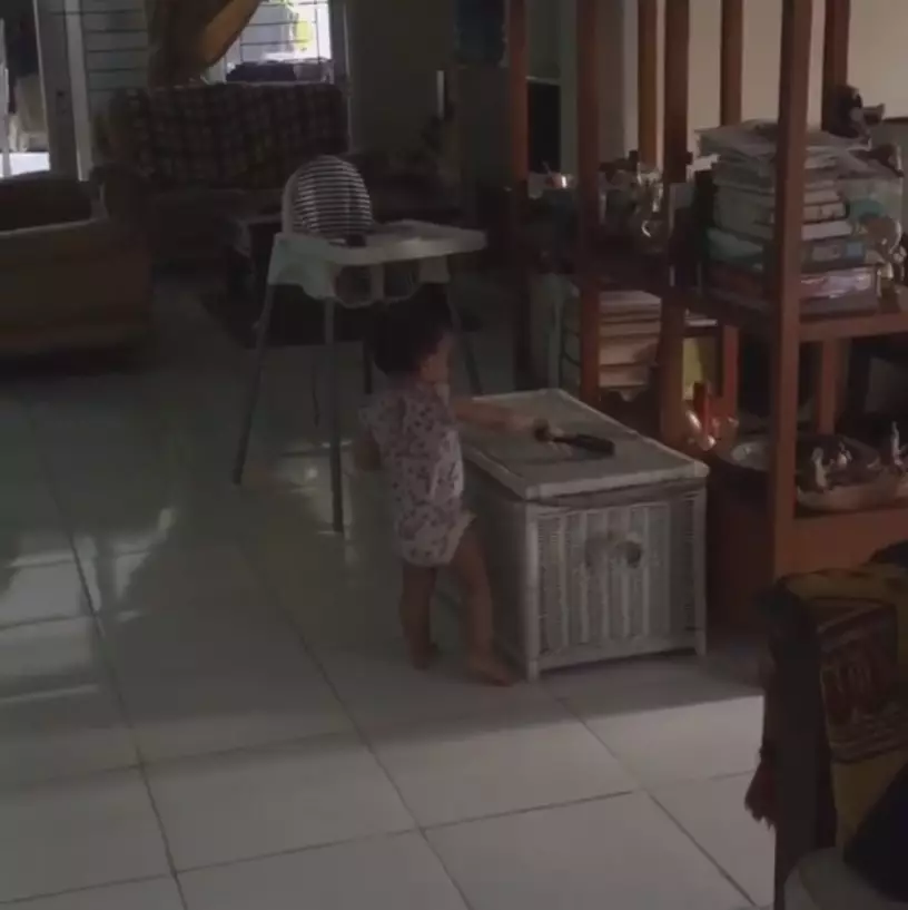 rumah Andhara Early © 2024 brilio.net rumah Andhara Early © 2024 brilio.net