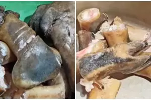 Cara merebus kaki kambing agar empuk dan bebas bau prengus