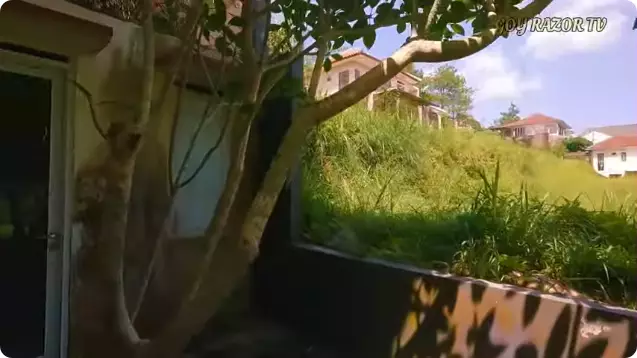 Rumah terbengkalai Ony Syahrial © 2024 YouTube