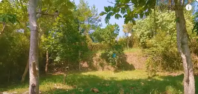 Rumah terbengkalai Ony Syahrial © 2024 YouTube