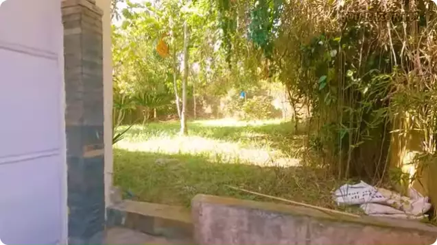 Rumah terbengkalai Ony Syahrial © 2024 YouTube