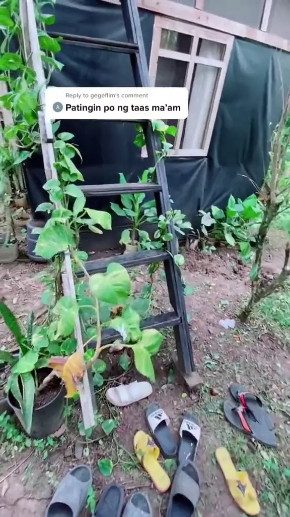 kamar sepetak gubuk dalamnya estetik © 2024 TikTok