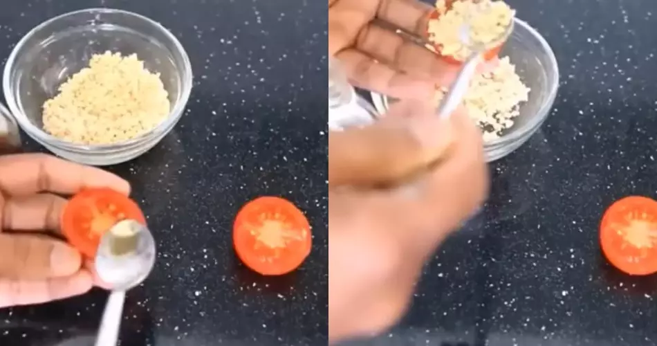 Cara bikin racun pembasmi tikus dari tomat dan kacang © YouTube Cara bikin racun pembasmi tikus dari tomat dan kacang © YouTube