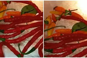 Tanpa membuang tangkainya, ini cara simpan cabai agar awet segar lebih dari 2 minggu