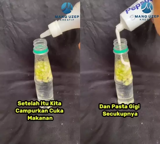 trik ampuh bikin tikus kabur  © TikTok