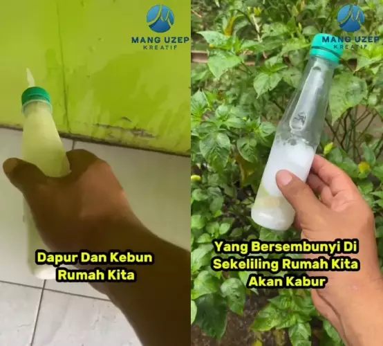 trik ampuh bikin tikus kabur  © TikTok