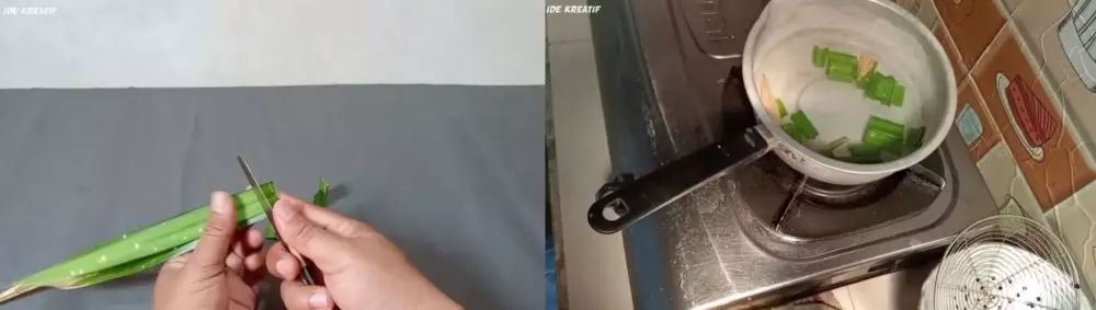 Trik jitu mencegah tikus masuk ke rumah © YouTube