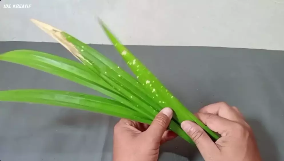 Trik jitu mencegah tikus masuk ke rumah © YouTube