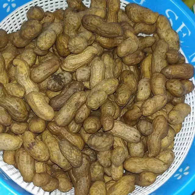 20 Resep camilan buka puasa dari kacang rebus instagram 20 Resep camilan buka puasa dari kacang rebus instagram