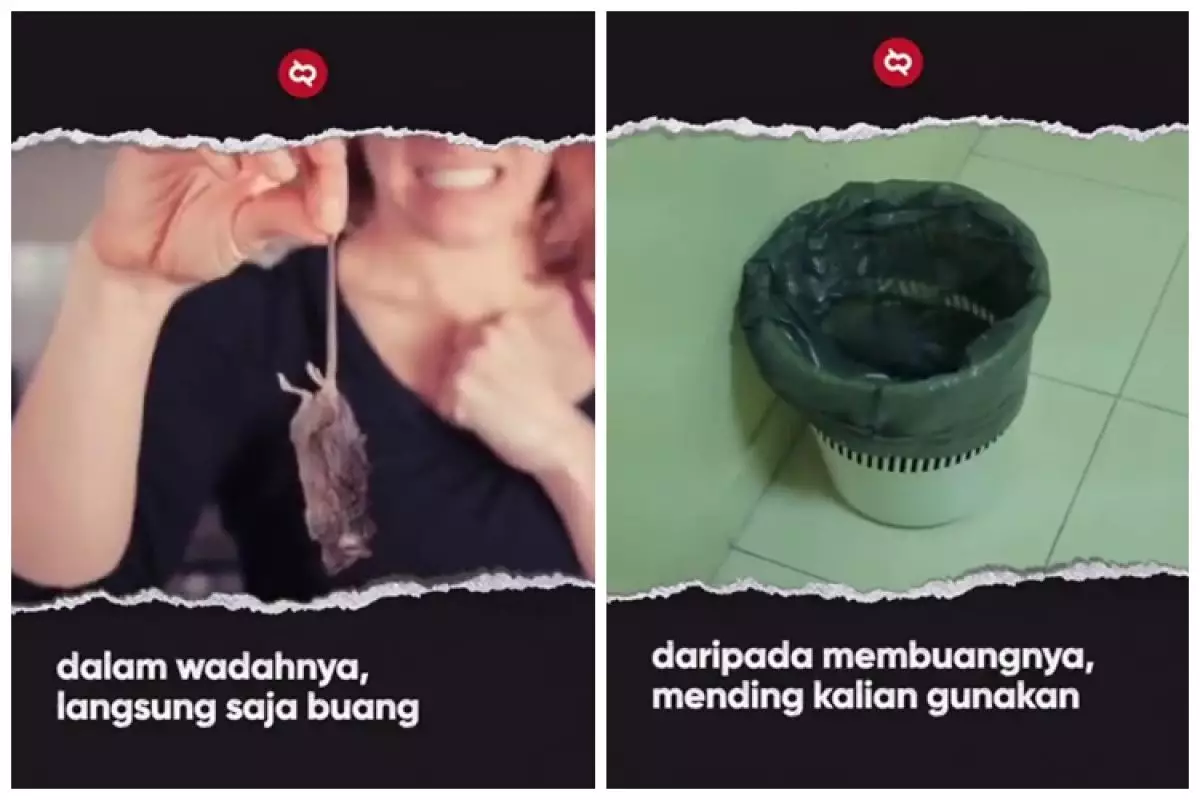 Bikinnya cuma butuh 1 menit, begini cara bikin perangkap tikus sederhana hanya pakai 1 bahan bekas