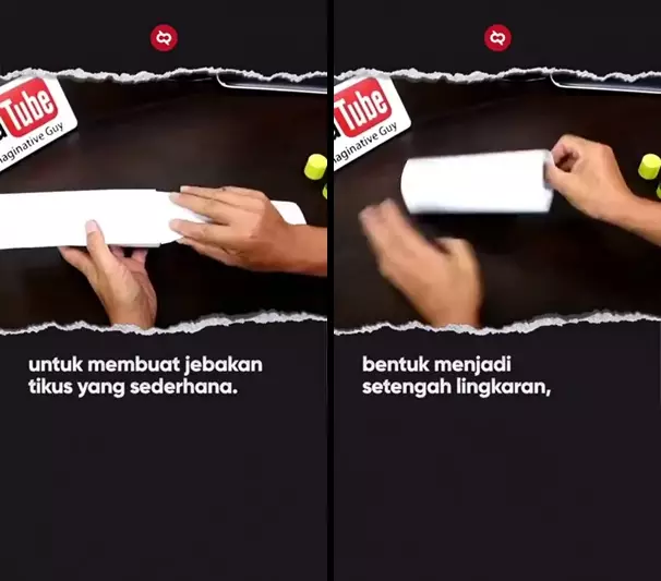 perangkap tikus pakai kertas  © 2025 TikTok