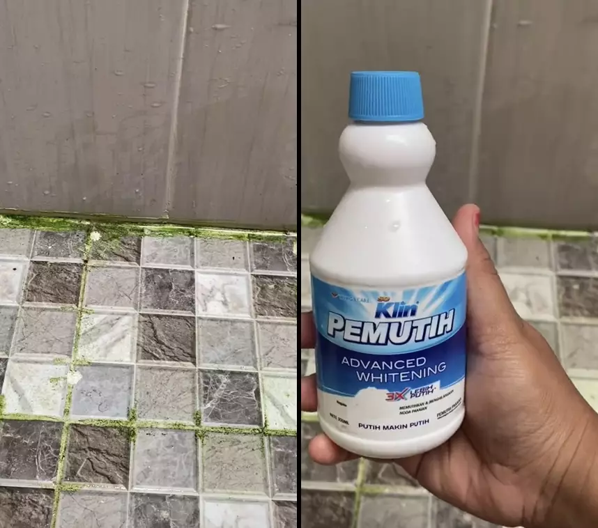 bersihkan lumut kamar mandi pakai pemutih pakaian © 2025 TikTok bersihkan lumut kamar mandi pakai pemutih pakaian © 2025 TikTok