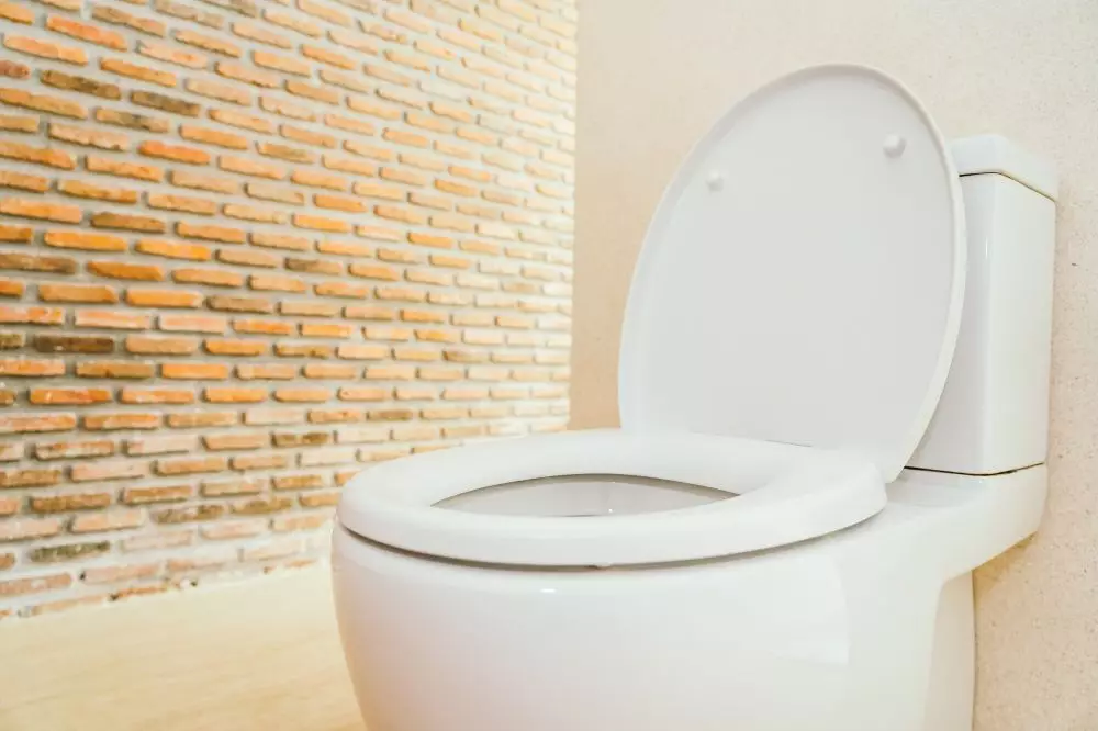 Rahasia kenapa kloset duduk berbentuk U © 2025 brilio.net