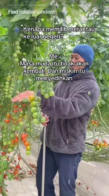 pria ini pilih jadi petani di Jepang © TikTok