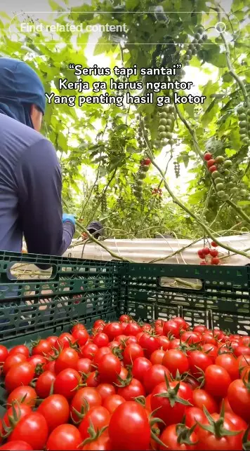 pria ini pilih jadi petani di Jepang © TikTok