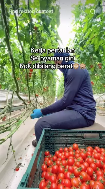pria ini pilih jadi petani di Jepang © TikTok