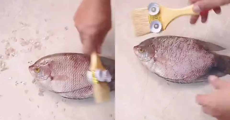 Warganet ini sulap tutup botol bekas jadi alat untuk menyiangi ikan © Berbagai sumber